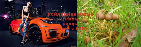 2c-b Аркадак