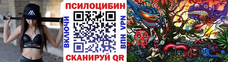 Купить где  Белебей  Псилоцибиновые грибы Cubensis 